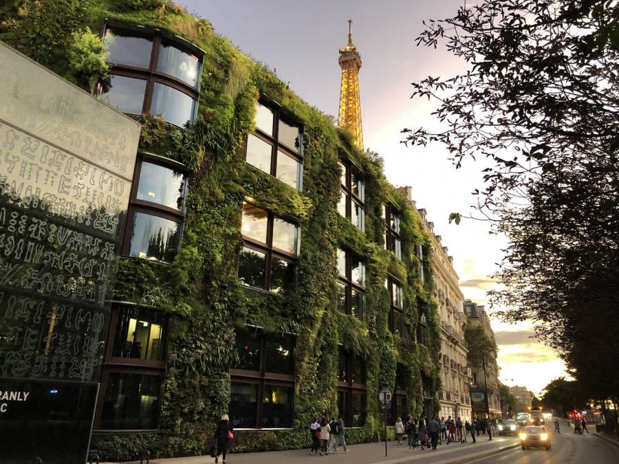 Visit the Quai Branly - Jacques Chirac Museum